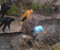 Αθήνα: Έσωσαν τα ζώα από το ρέμα στον Βοτανικό